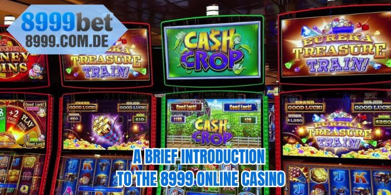 A brief introduction to the 8999 online casino 